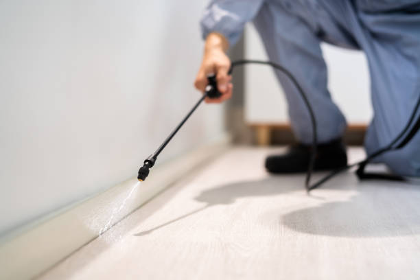 Licensed Cockroach Control service in Hamlet, NC - Nex Pest Control