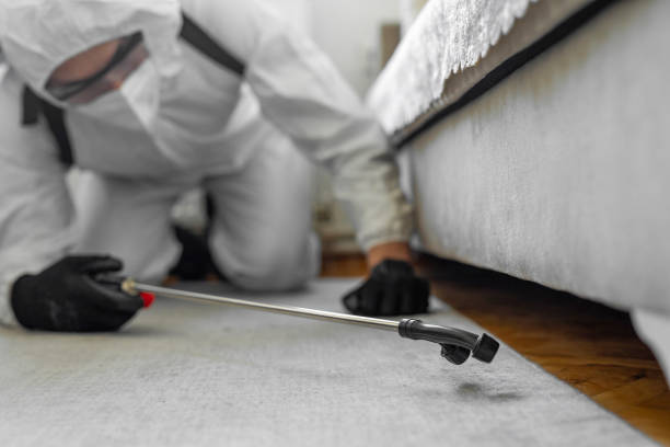 Professional Cockroach Control technician working in Hamlet, NC