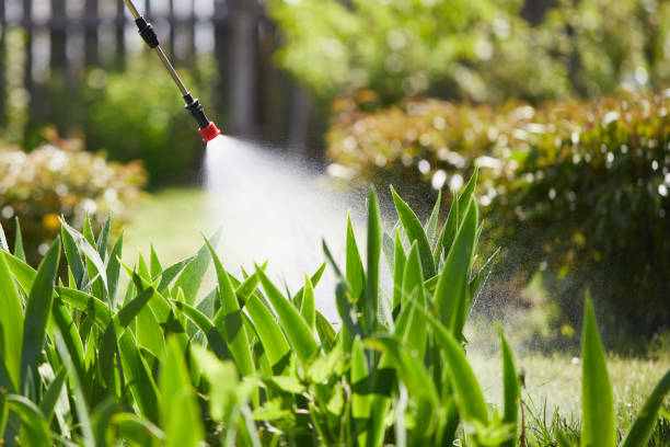 24/7 Emergency Cockroach Control experts in Hamlet, NC
