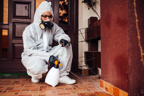Reliable Cockroach Control contractor in Hamlet, NC by Nex Pest Control